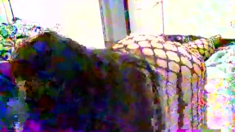 juicylatinabbw online show from March 16, 7:51 pm
