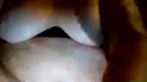 juicylatinabbw online show from August 5, 7:39 am
