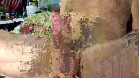 jumpinjimbo333 online show from June 30, 5:52 am