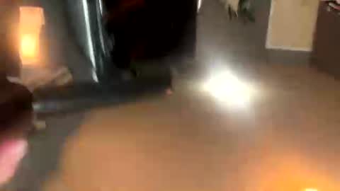 jusbooty online show from August 5, 7:34 pm