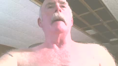 justdon online show from July 11, 6:03 pm