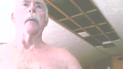 justdon online show from July 13, 2:02 pm