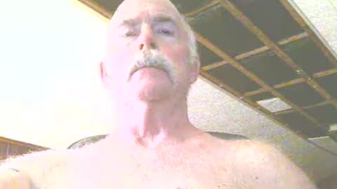 justdon online show from July 14, 2:31 pm