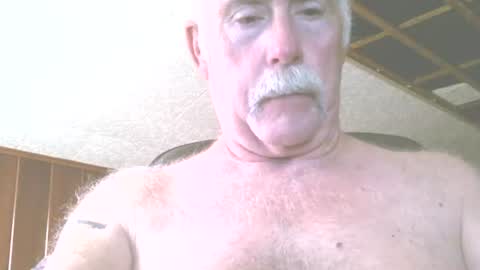 justdon online show from July 16, 2:40 pm