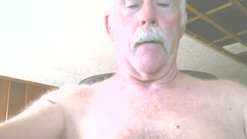justdon online show from July 16, 3:46 pm