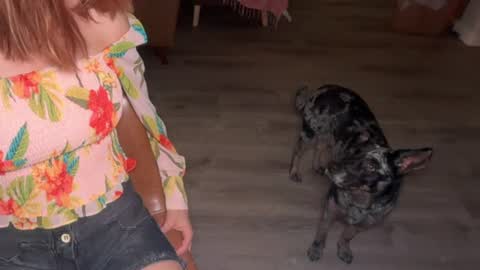 Kailee Smile online show from June 20, 4:56 am