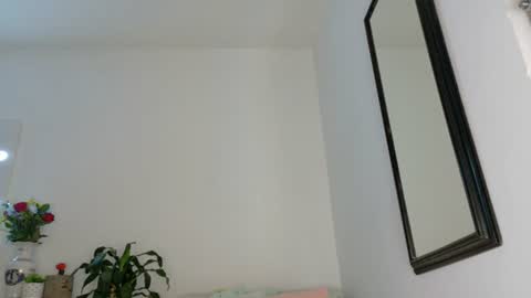               instagram             twitter cami   777 online show from July 24, 10:18 am