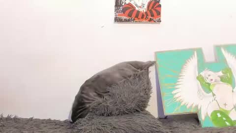 KaoriYasu online show from August 6, 1:48 am