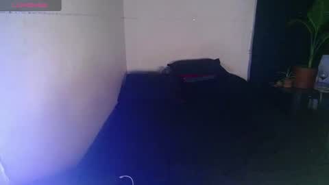 Kary Blush online show from August 7, 4:56 am