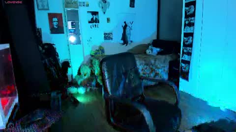 kattx   independent model online show from July 15, 2:12 am