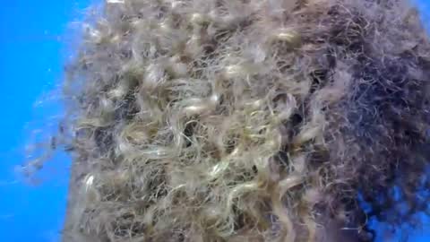 kelyhondra online show from August 6, 6:18 pm