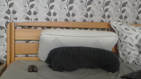 kelywild20 online show from August 8, 10:04 am