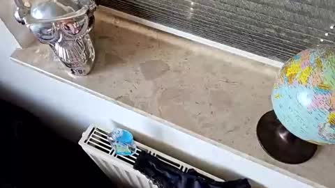 Nicoalone14 online show from July 8, 4:05 am