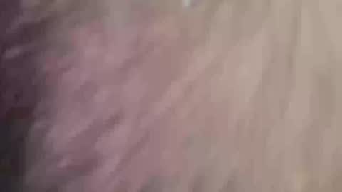 kieronjjjj online show from August 24, 9:33 pm