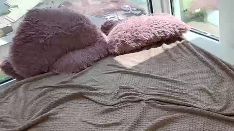 kim_babe_ online show from August 14, 9:57 am