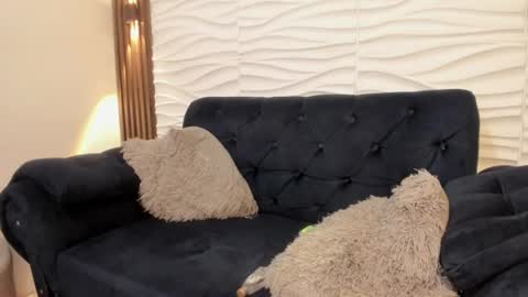 elik online show from August 8, 1:49 am