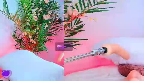    online show from July 29, 6:31 am