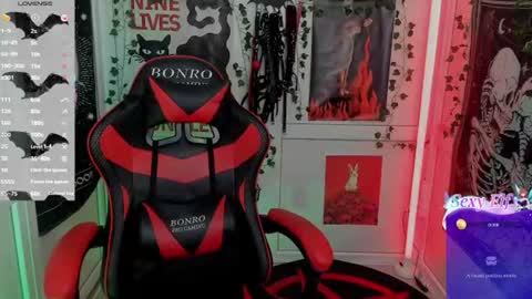 meow online show from July 31, 3:51 pm