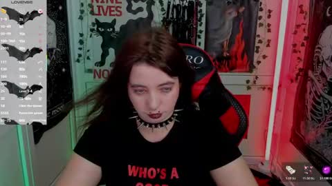 meow online show from August 6, 4:50 pm