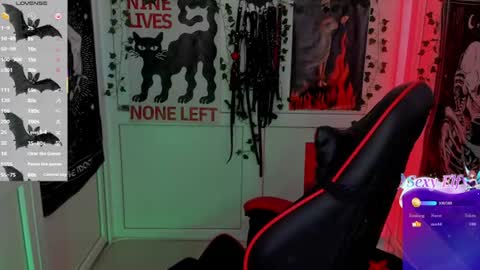 meow online show from August 7, 1:11 pm
