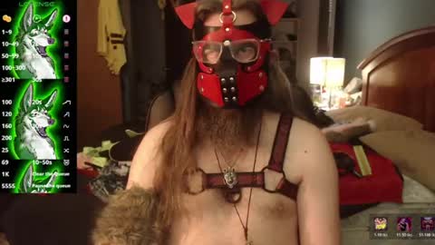 kinkywolf87 online show from July 25, 5:06 pm