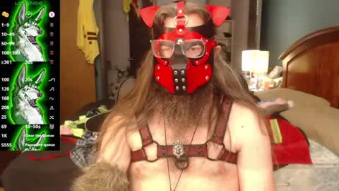 kinkywolf87 online show from July 25, 8:24 pm