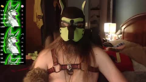 kinkywolf87 online show from July 26, 5:34 am