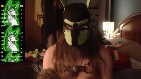 kinkywolf87 online show from July 26, 6:40 am