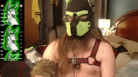 kinkywolf87 online show from July 27, 9:53 pm