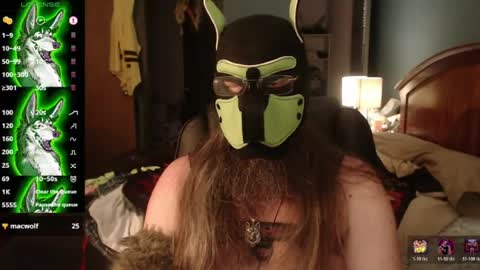 kinkywolf87 online show from July 27, 11:21 pm