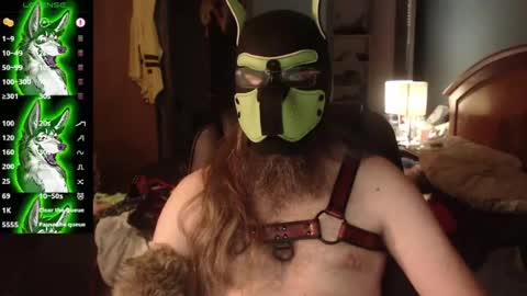 kinkywolf87 online show from August 1, 5:13 am