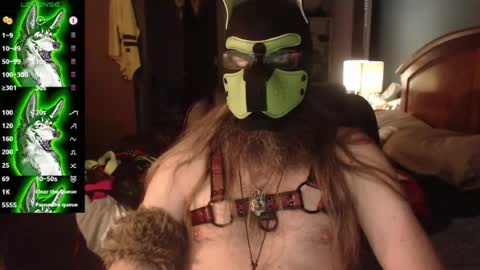 kinkywolf87 online show from August 3, 7:04 am