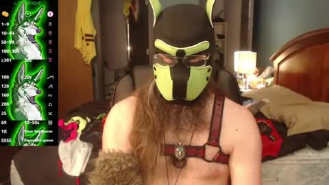 kinkywolf87 online show from August 10, 7:15 pm
