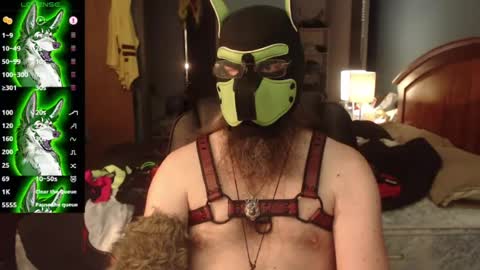 kinkywolf87 online show from August 11, 5:15 pm