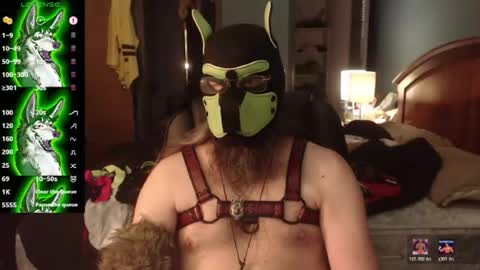 kinkywolf87 online show from August 11, 7:27 pm