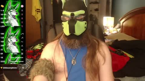 kinkywolf87 online show from August 16, 10:47 pm