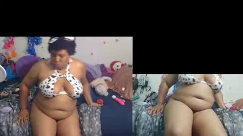 kitten online show from June 27, 1:20 am