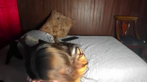 Little pink kitten online show from August 2, 2:07 am