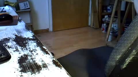 klausdieter40 online show from August 15, 12:31 pm