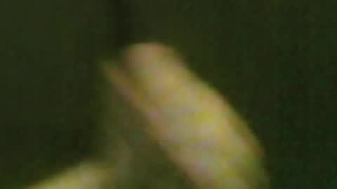 kren565656 online show from August 8, 7:36 pm