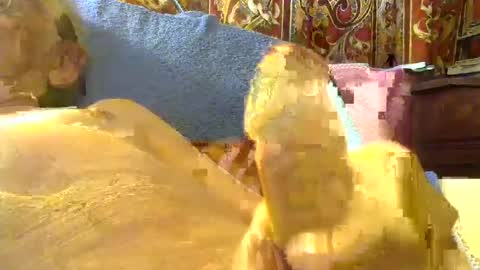 krisforfun online show from July 2, 7:20 am