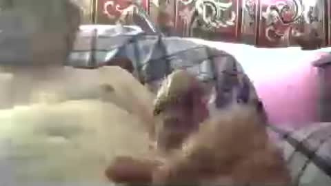 krisforfun online show from August 13, 7:22 am