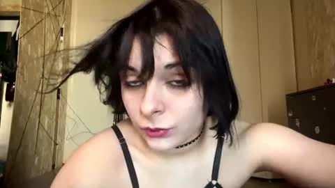 Regina online show from July 20, 12:41 pm