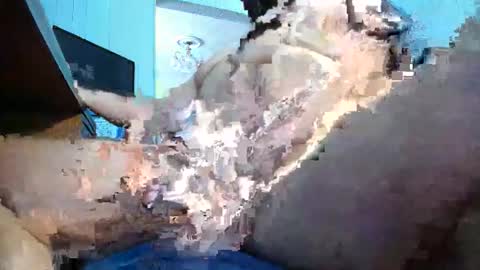 l05312 online show from March 30, 6:48 pm