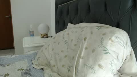 lady____a online show from August 2, 12:28 am