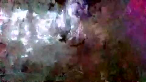 ladyzee25 online show from March 18, 2:17 am
