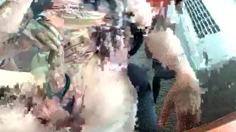 lamourenrose online show from July 17, 7:36 pm