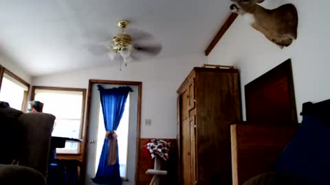 Lance online show from August 10, 12:01 am
