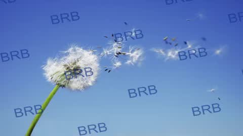 lara_fisher online show from July 20, 7:39 pm