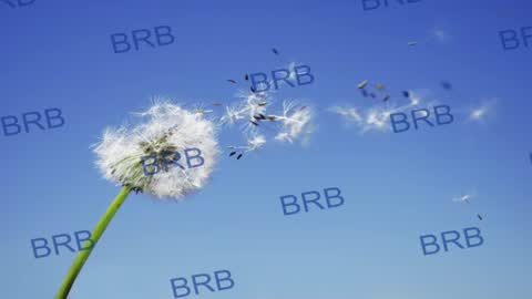 lara_fisher online show from August 3, 8:27 pm